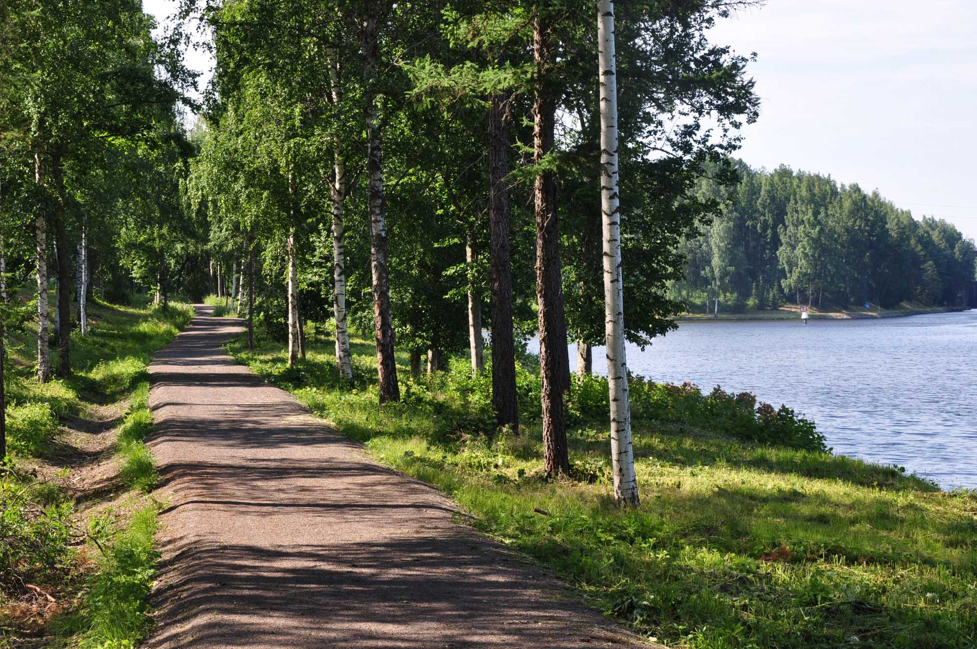 Luontopolku aurinkoisena kesäpäivänä. Kuvassa on vihreitä puita ja oikealla näkyy Saimaata.