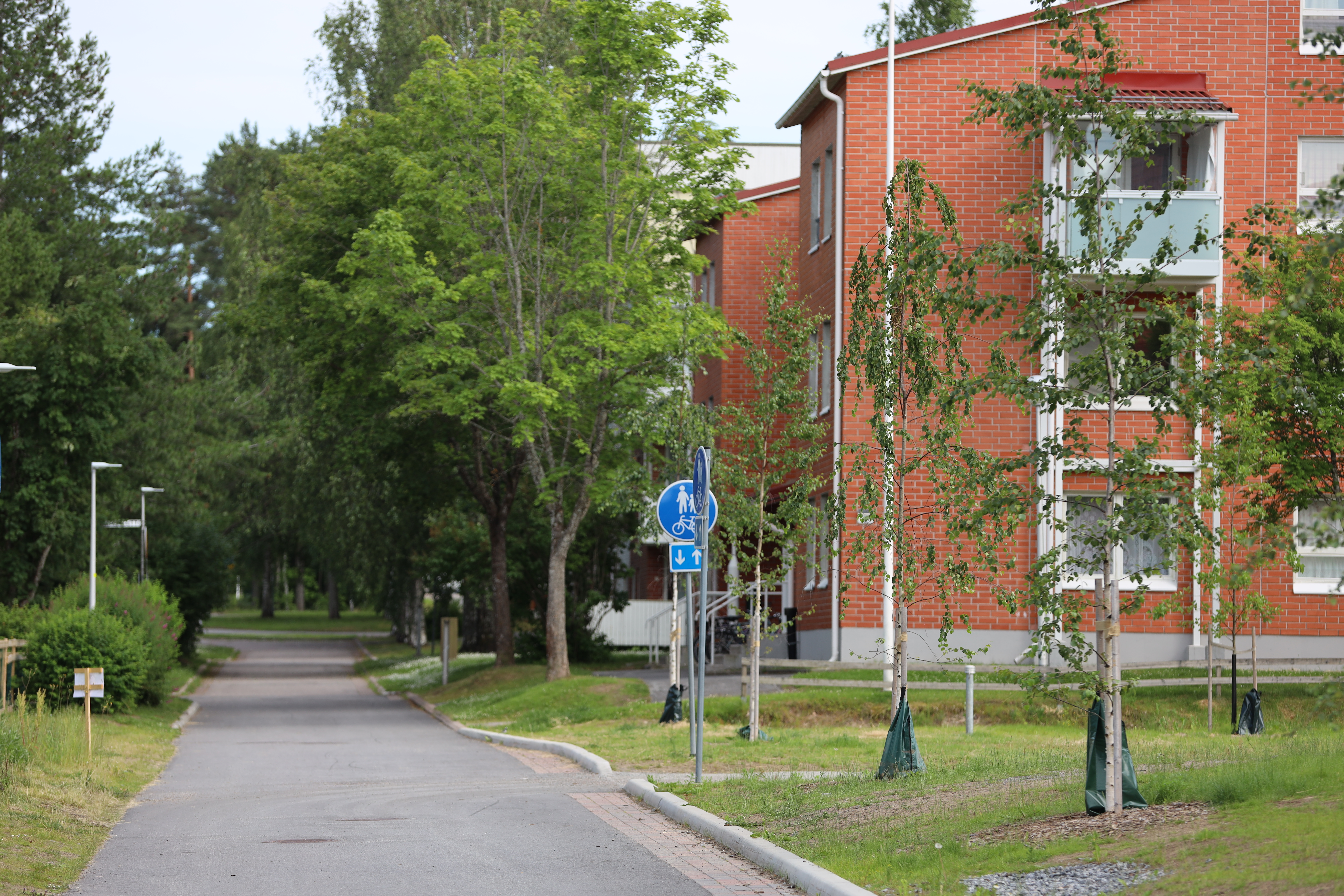Sammonlahden asuinaluetta.
