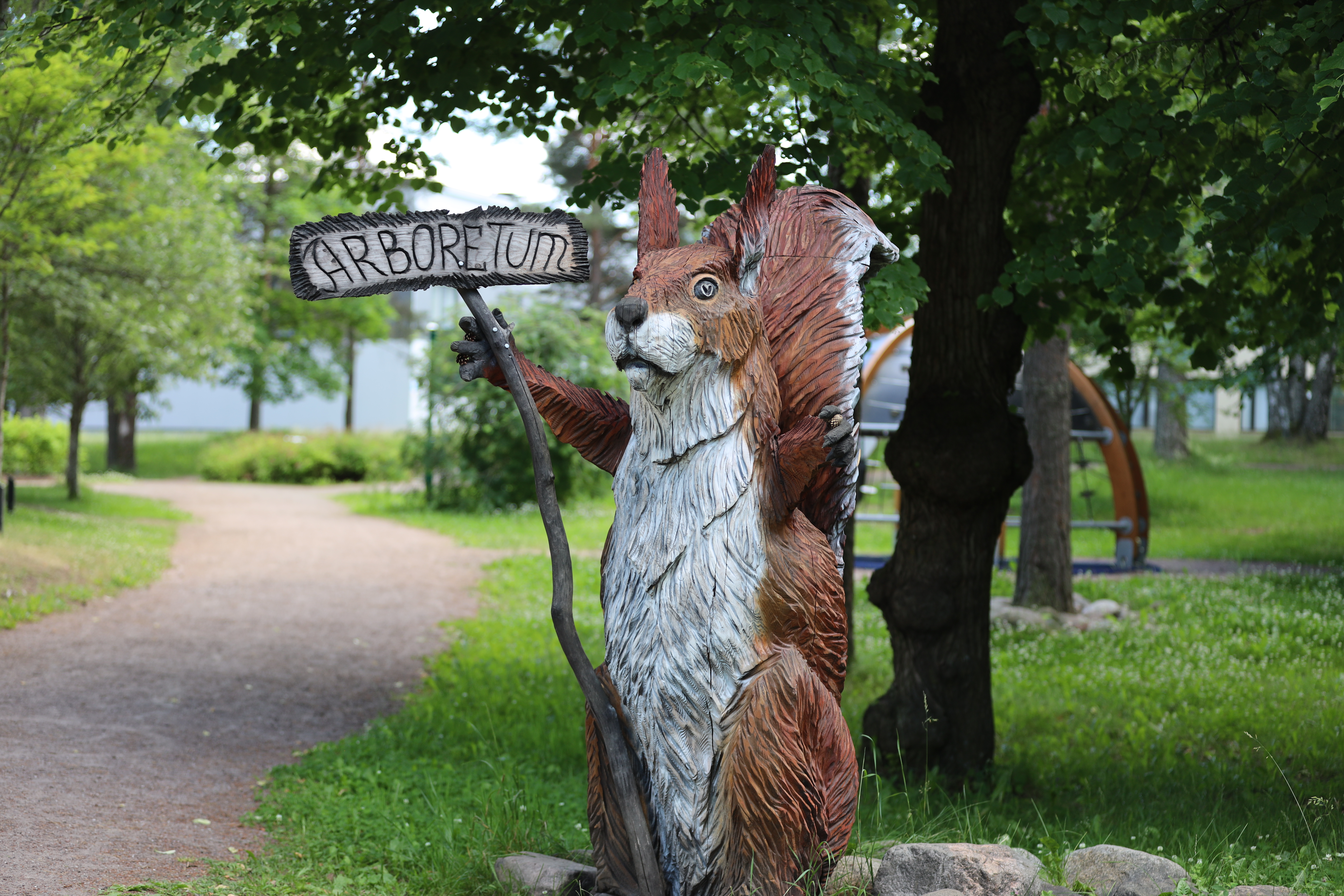 Taikinamäen arboretum.