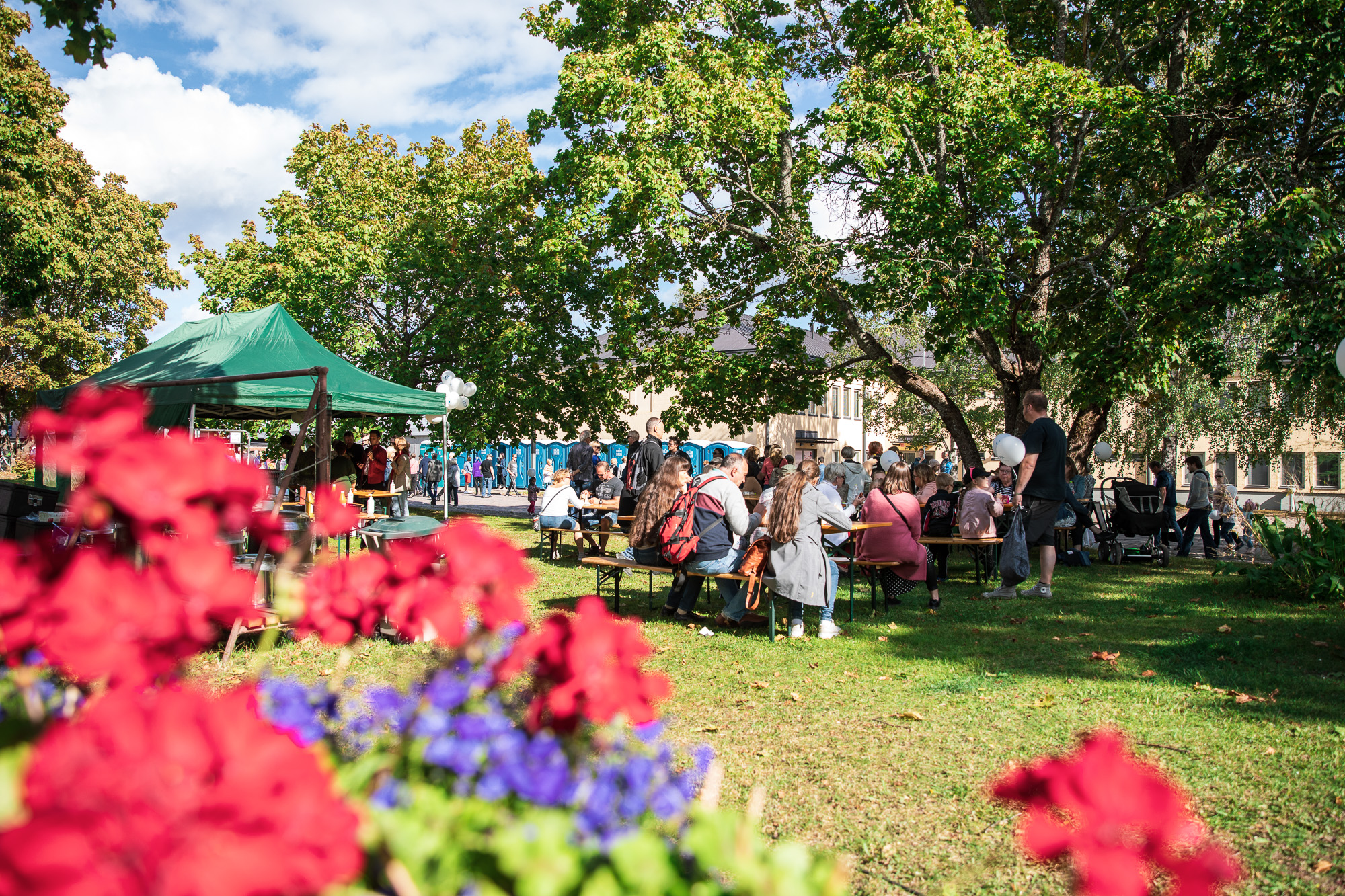 Punaisia kukkia ja taustalla teltta sekä ihmisiä.