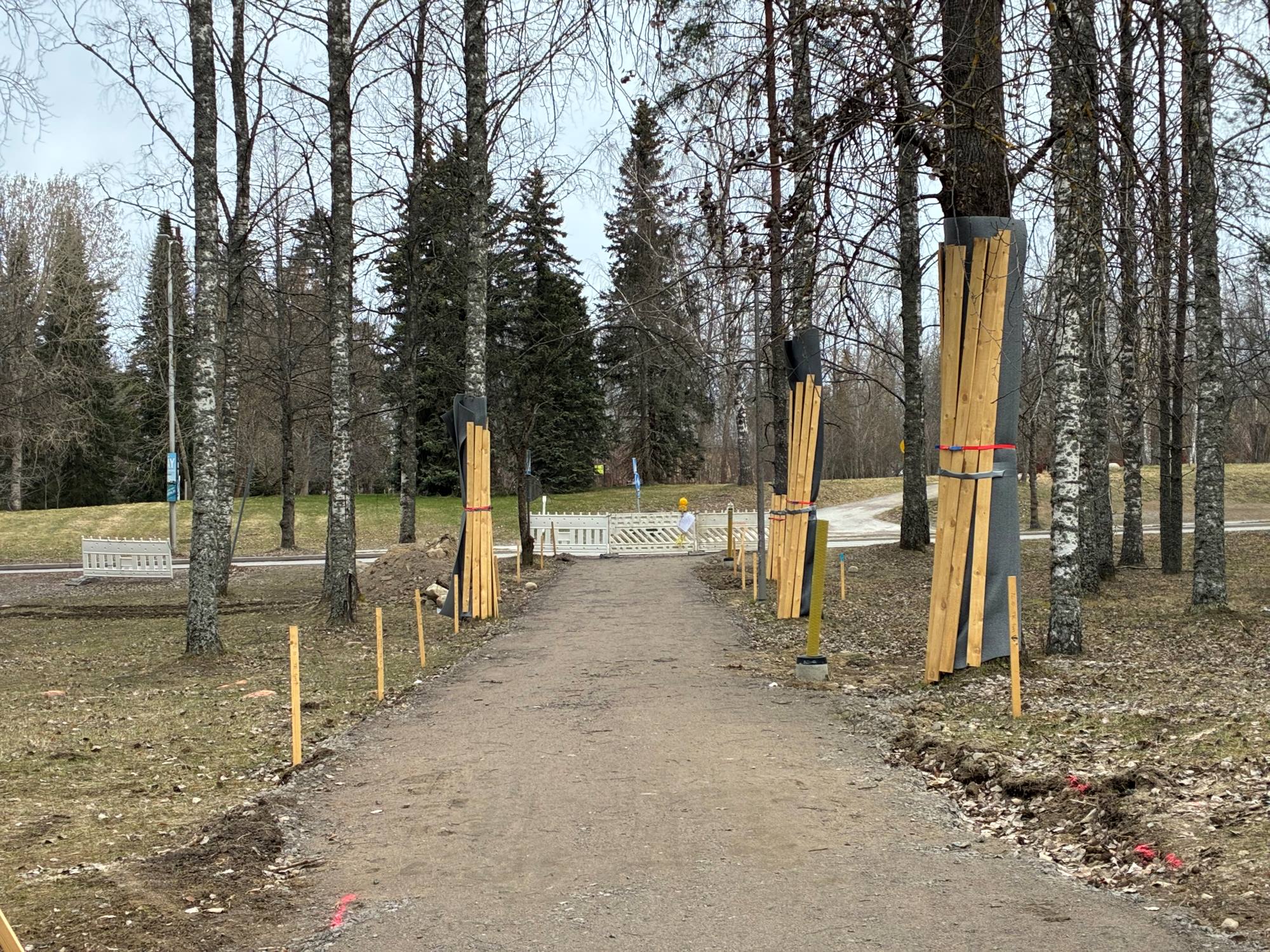 Puistoaluetta, jossa rakenteilla oleva kulkuväylä ja lankuilla merkattuja puita.