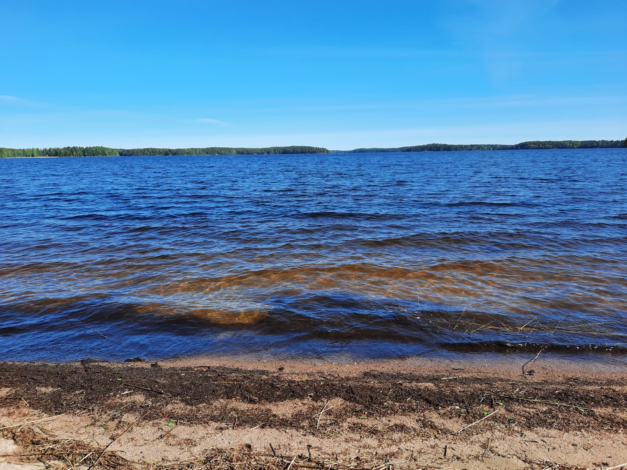 Sammonlahden hiekkarannalta maisema Saimaalle.