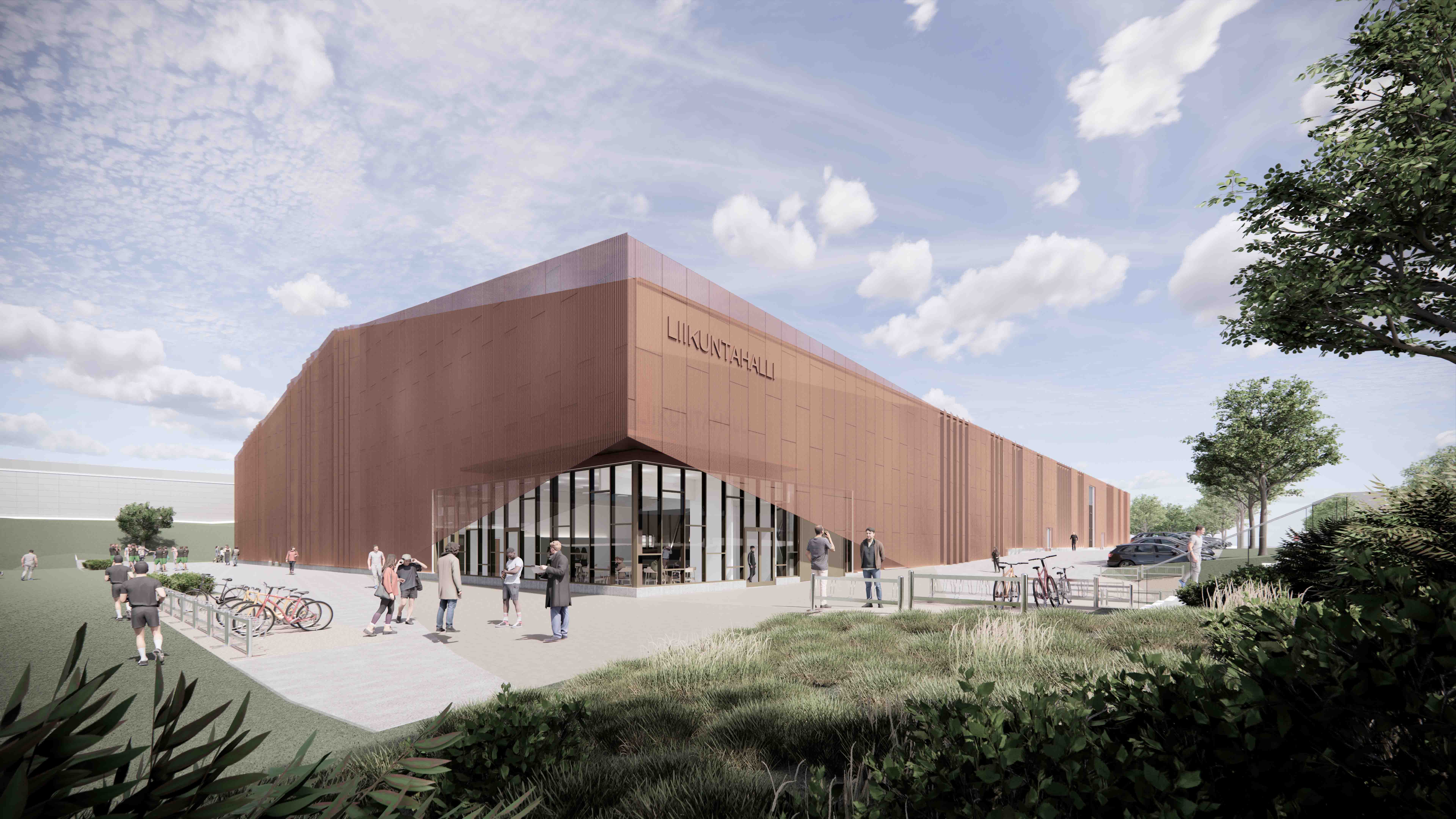 Havainnekuva ruskeasta hallista.