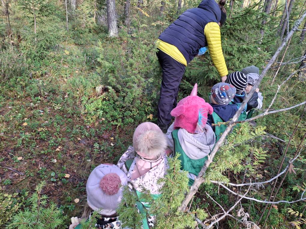 Kuvassa seitsemän lasta istuu metsässä puun päällä ja aikuinen tutkii kasvustoa.